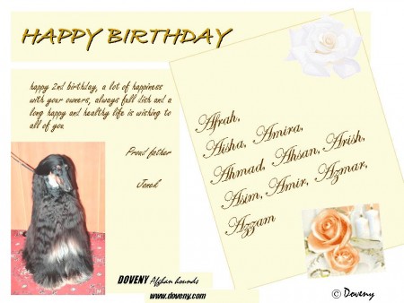 birthday card /narozeninová karta 2C